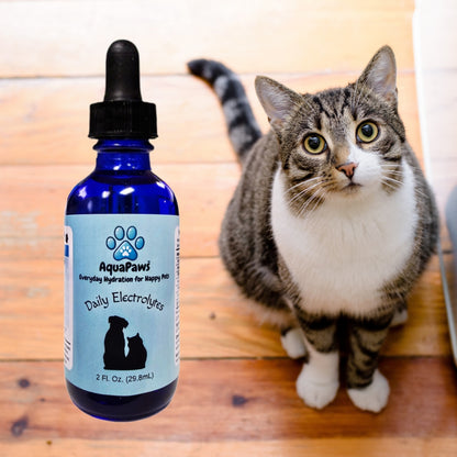 AquaPaws™ Pet Electrolytes