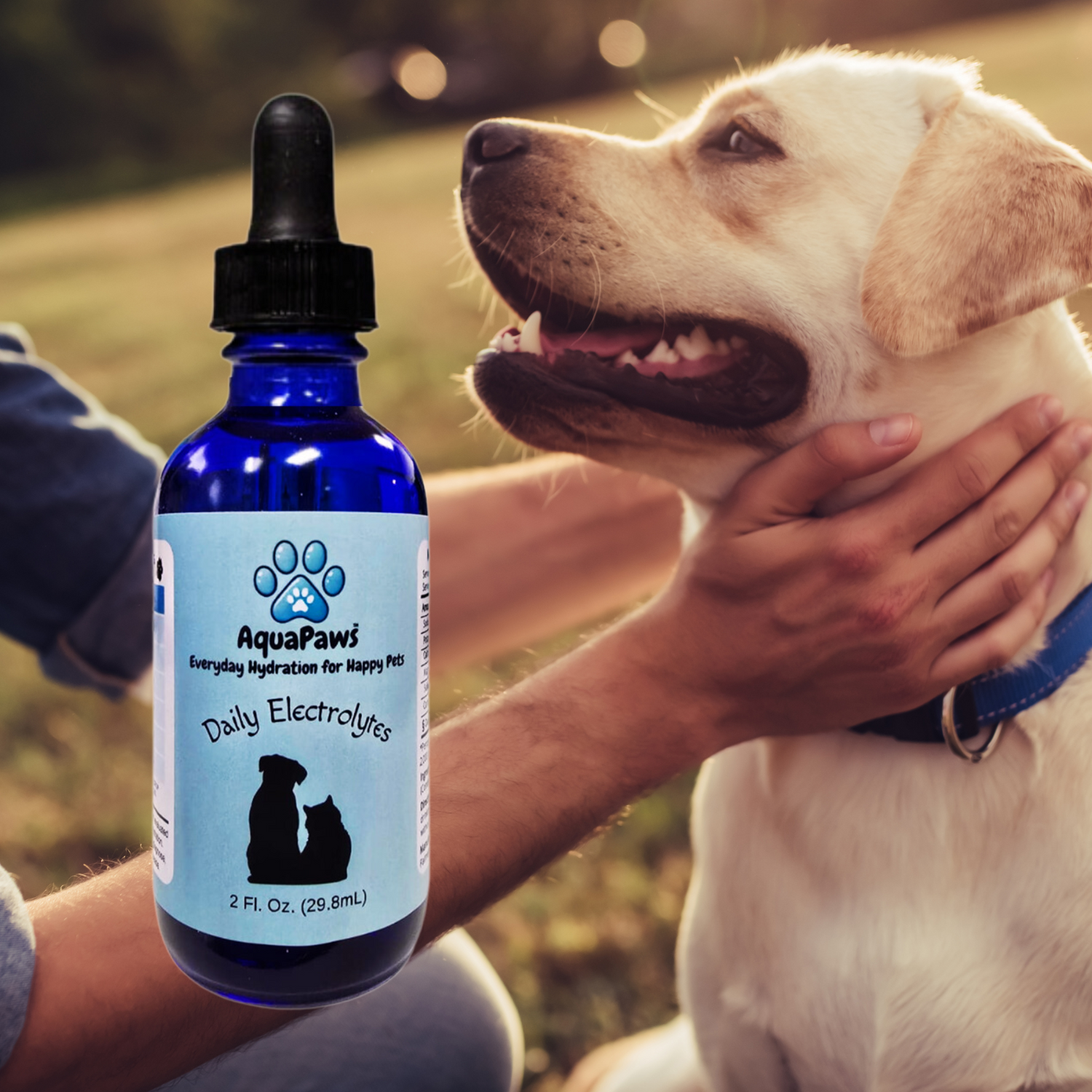 Dog Holding Neck.png__PID:a9e8c8b6-86a4-476d-b738-5c0bfb828d6e
