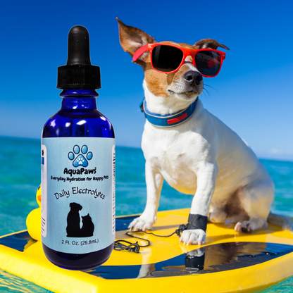 Glasses Dog.png__PID:e8c8b686-a497-4df7-b85c-0bfb828d6e91